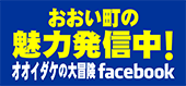 オオイダケの大冒険/若狭路おおい町の観光情報のバナー画像